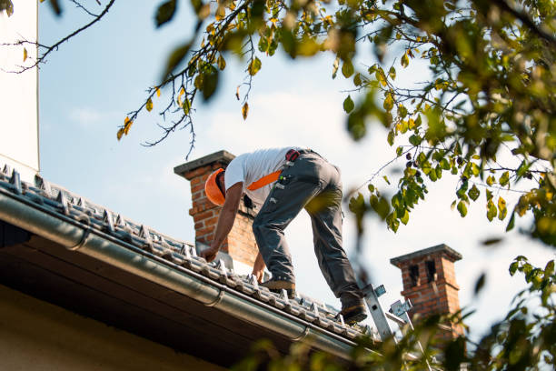 Residential Roof Replacement in Remlap, AL